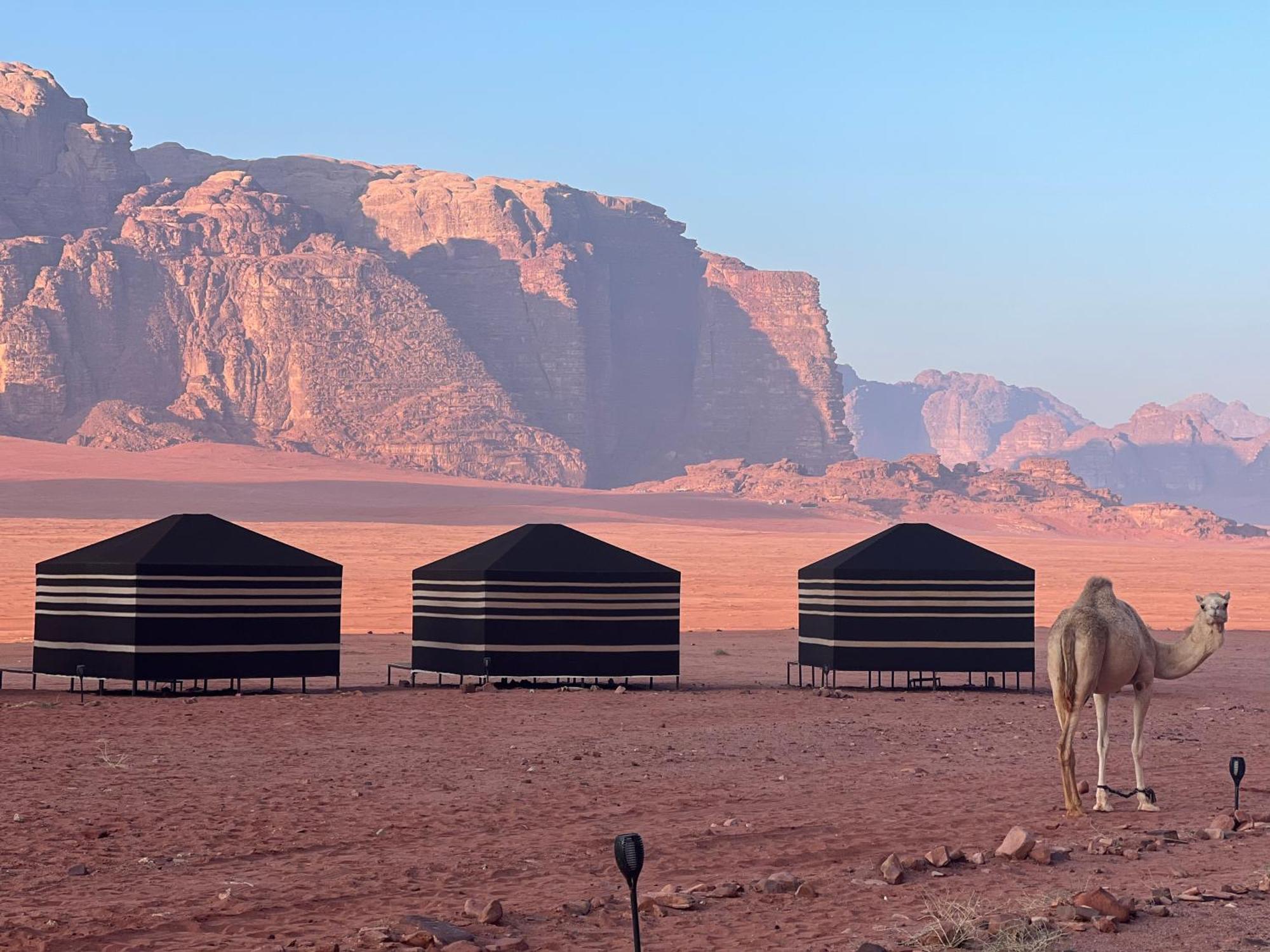 Desert Bird Camp Wadi Rum Exterior photo
